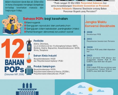 Apa itu POPs